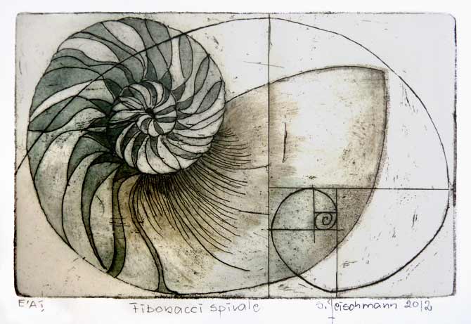 Fibonacci Spirale